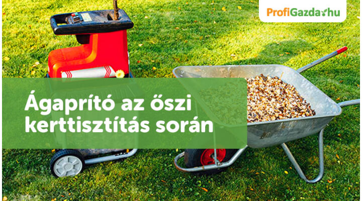 Hogyan használhatod az ágaprítót az őszi kerttisztítás során