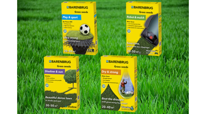 Nem mindegy, hova milyen fűmagot telepítesz – ezekre érdemes figyelni