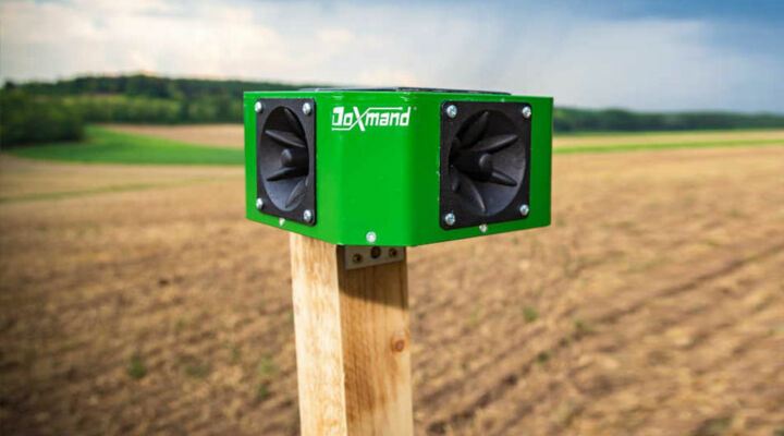 Védd meg a terményed, gépeidet a kártevők ellen! Itt az ultrahangos riasztás!