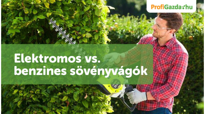 Elektromos vs. benzines sövényvágók. Melyik a jobb választás?