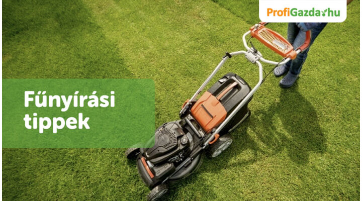 Fűnyírási tippek nyárra: így marad üde a gyep a forróságban