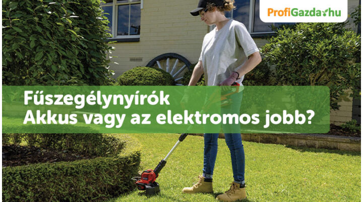 Elektromos vs. akkumulátoros szegélynyíró – Melyik a jobb választás?