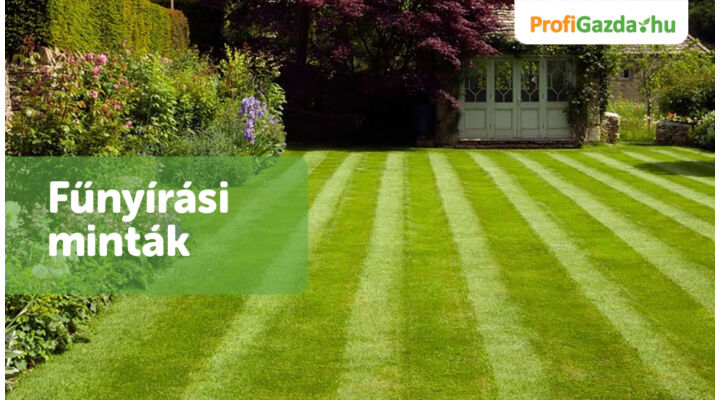 Csíkmentes pázsit titka – professzionális fűnyírási minták otthoni kivitelezése