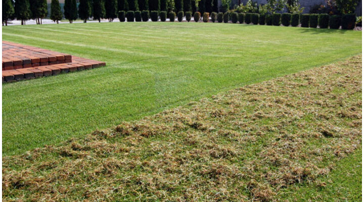 Miért fontos a levegőztetés, gyepszellőztetés?