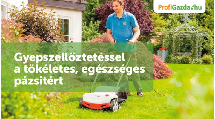 Gyepszellőztetéssel a tökéletes, egészséges pázsitért