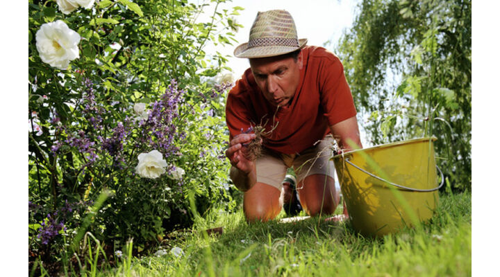 Gyomirtási praktikák