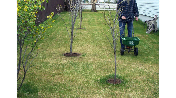 Ősszel is vethetünk