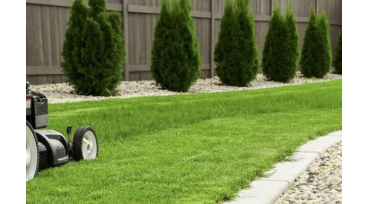 Aktuális tippek a tökéletes gyephez