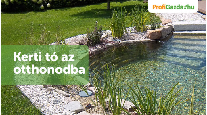 Kerti tó az otthonodba