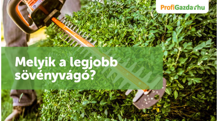 Melyik a legjobb sövényvágó?