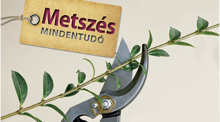 Metszés mindentudó - az alapok