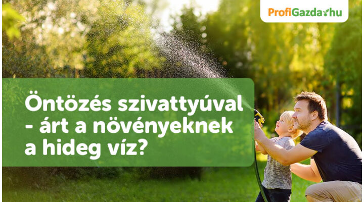 Öntözés szivattyúval - árt a növényeknek a hideg víz?