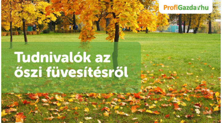 Tudnivalók az őszi füvesítésről 