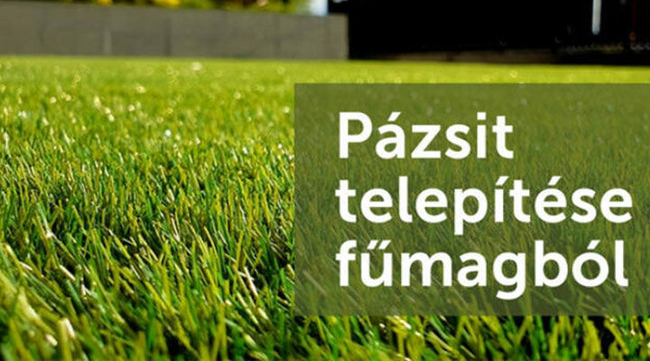 Pázsit telepítése fűmagból