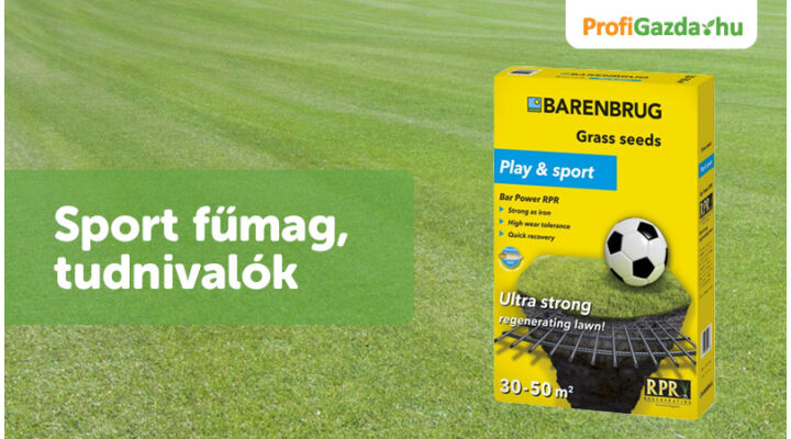Sport fűmag – tudnivalók