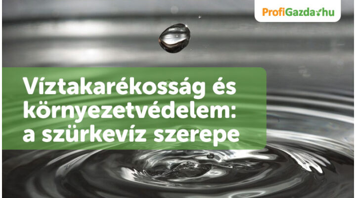 Víztakarékosság és környezetvédelem: a szürkevíz szerepe