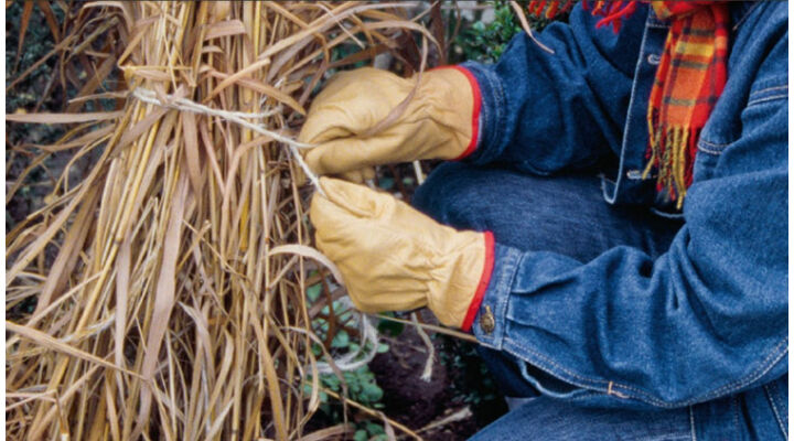 Késő őszi és téli teendők a kertben