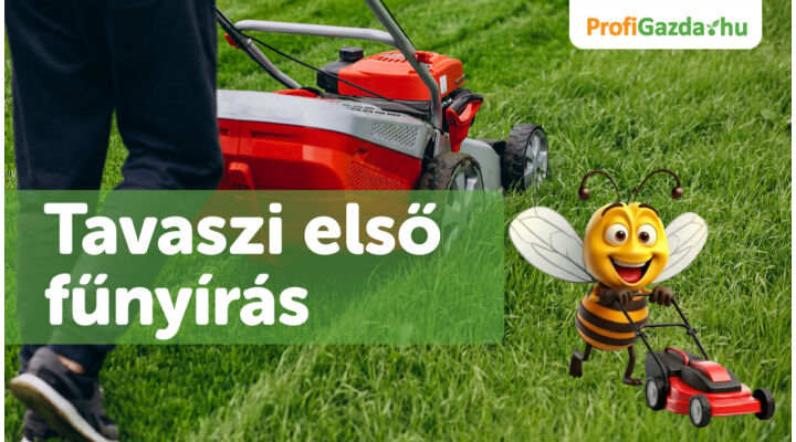 Tavaszi első fűnyírás – mikor és hogyan érdemes elkezdeni?