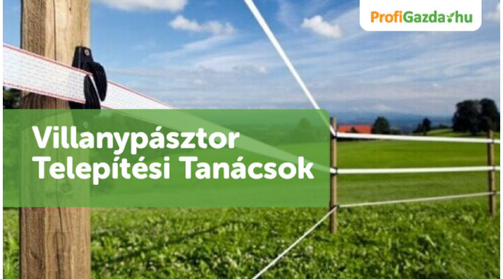 Villanypásztor Telepítési Tanácsok