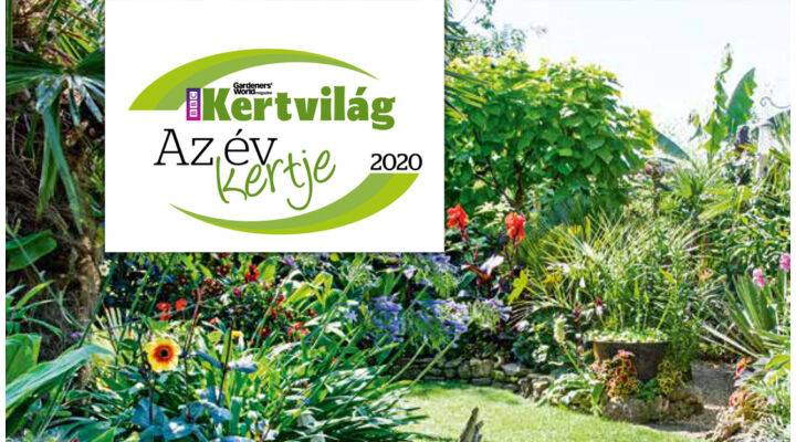 Az év kertje verseny 2020