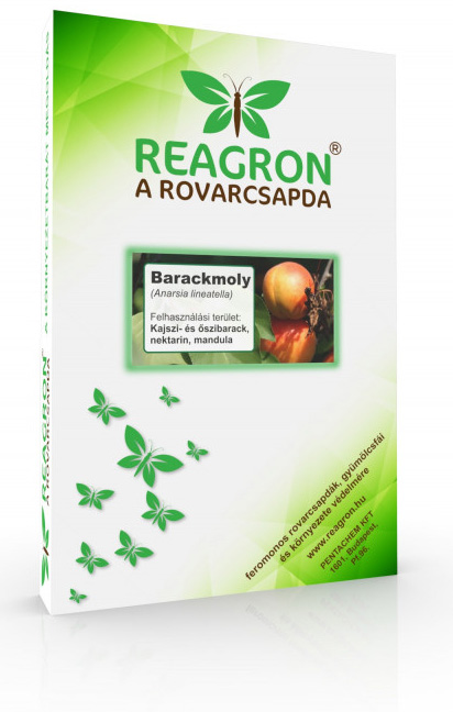 Reagron Barackmoly Alapcsapda