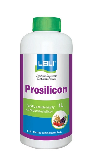 Prosilicon bőrszövet-erősítő és bogyórepedést meg-előző lombtrágya 1 liter