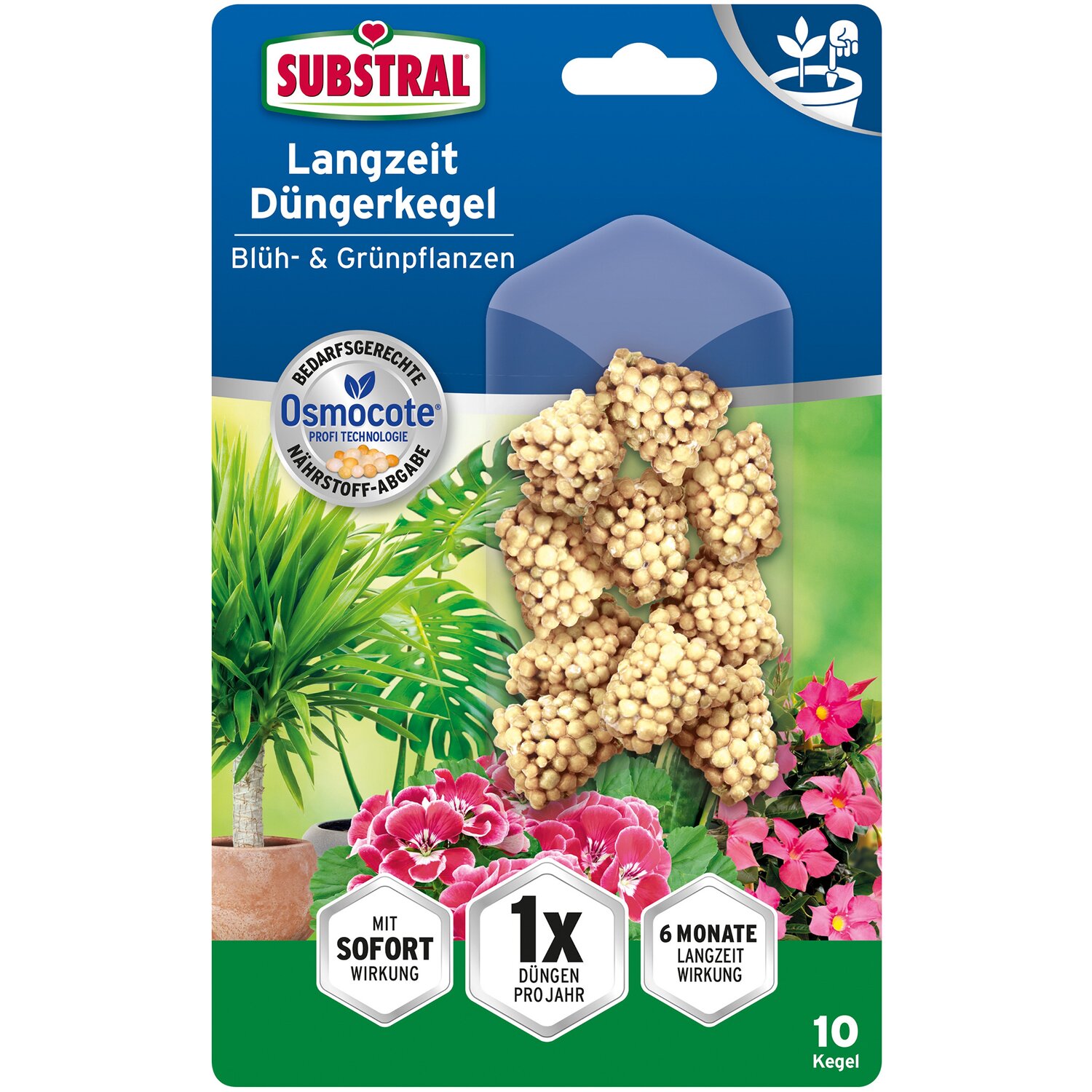 Substral Osmocote tabletta virágzó- és zöld növényekhez 10 db
