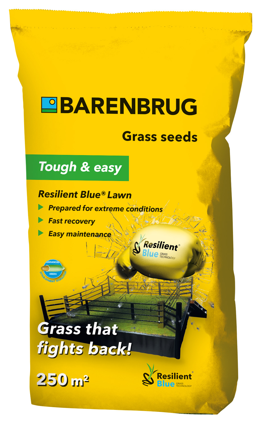 Barenbrug Resilient Blue Lawn Pázsitmag, fűmag (rendkívüli igénybevételre) 5 kg