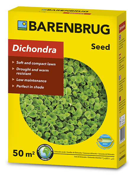 Barenbrug Dichondra – Talajtakaró zöld szőnyeg 500 g