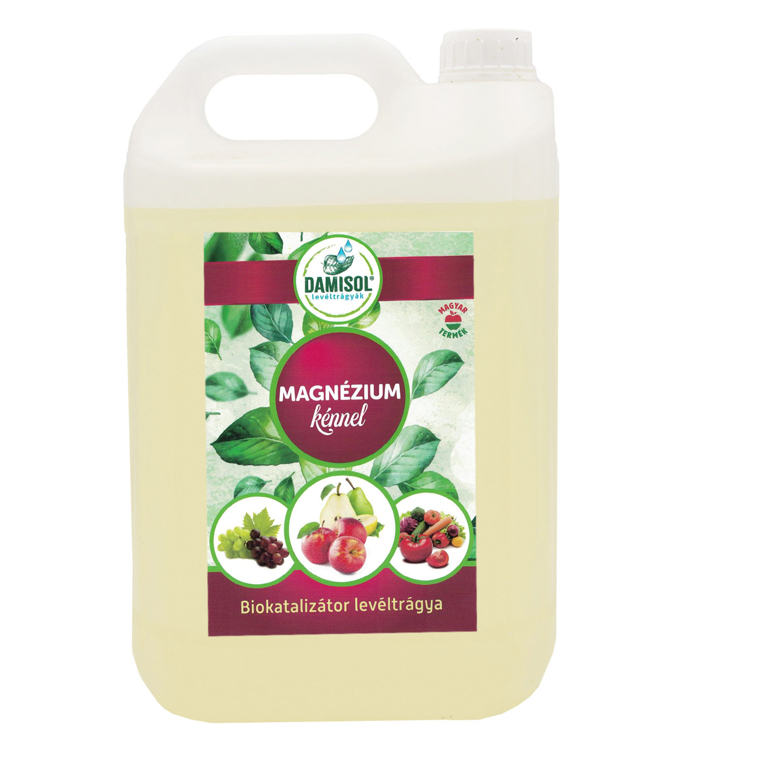 Damisol Magnézium 5 liter