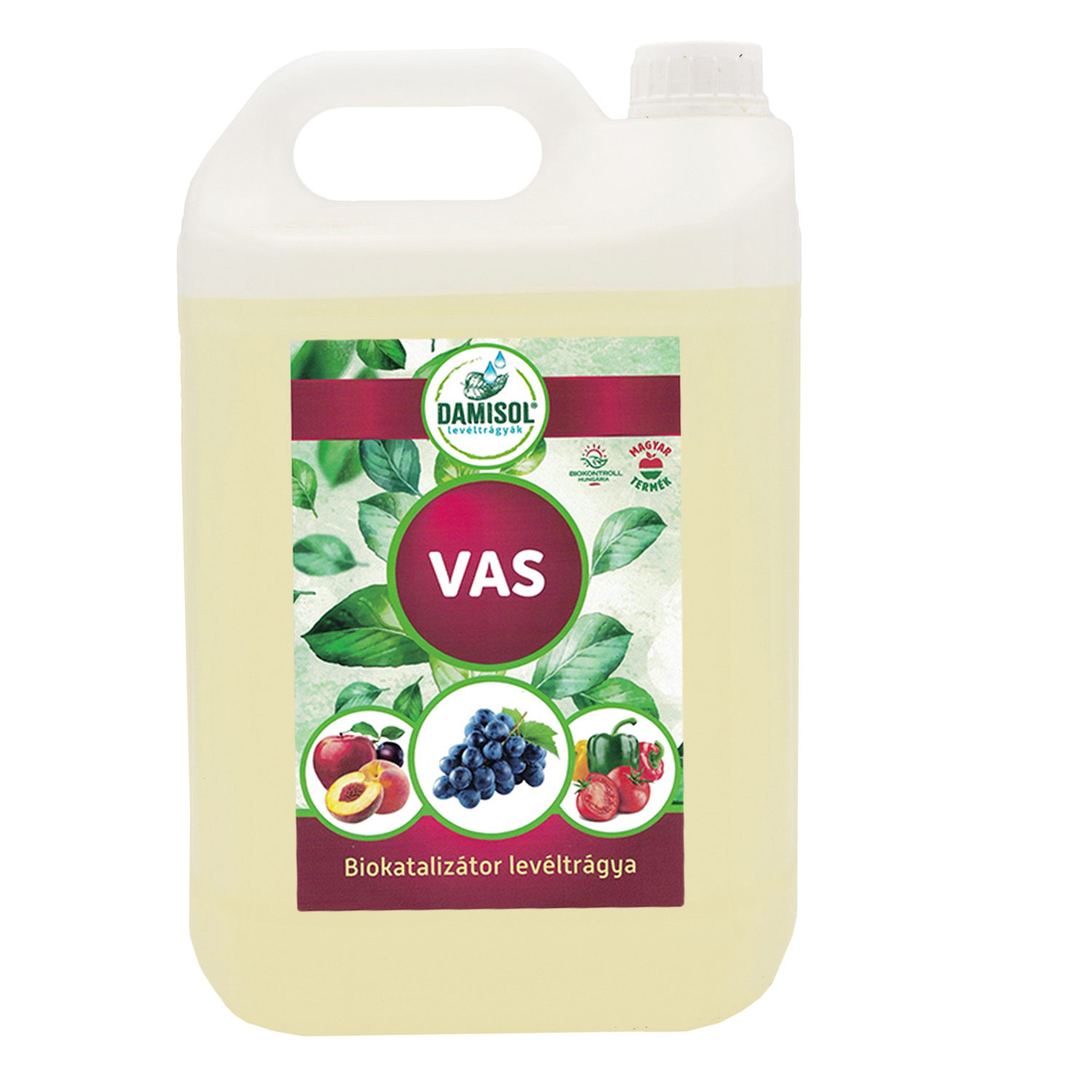 Damisol Vas 5 liter