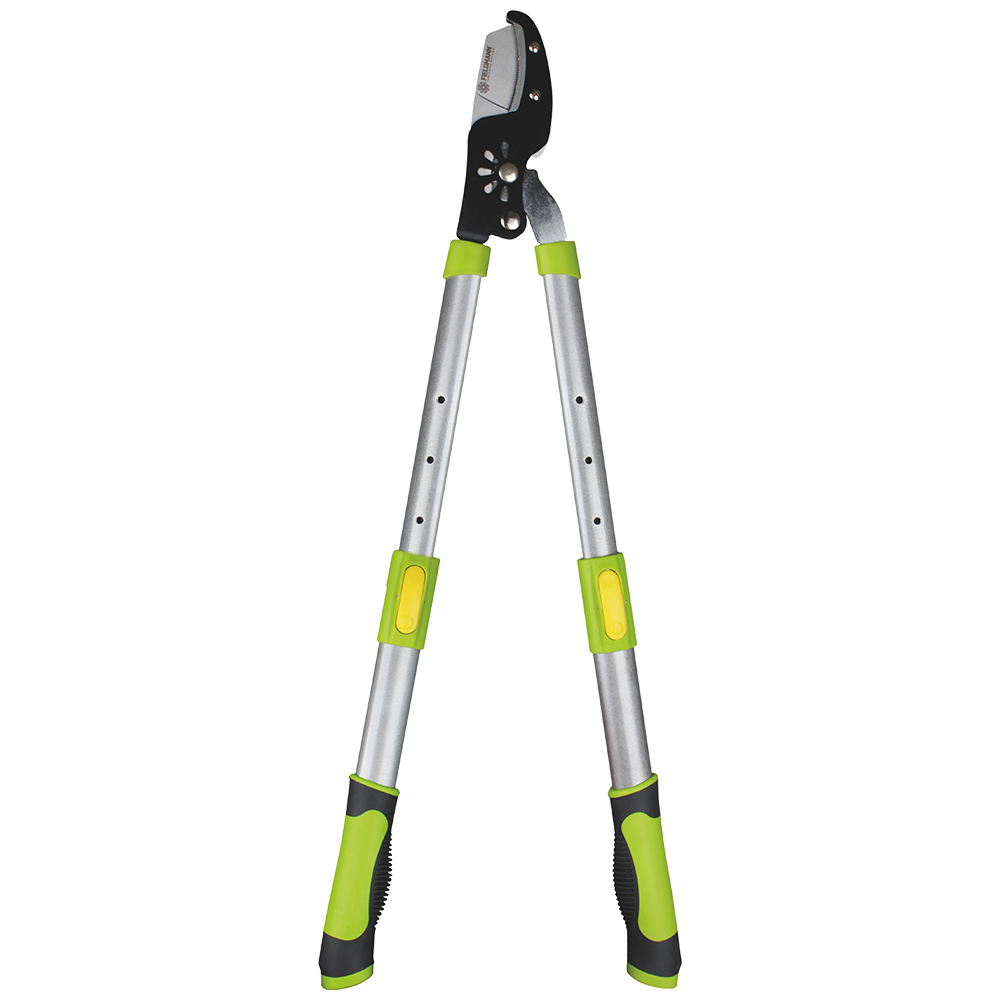 Fieldmann FZNR 1013 ágvágó