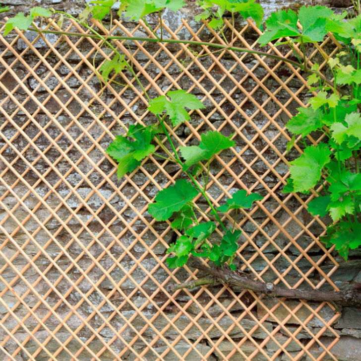 Nortene Wick Trellis vessző apácarács 0,5 x 1,5 m