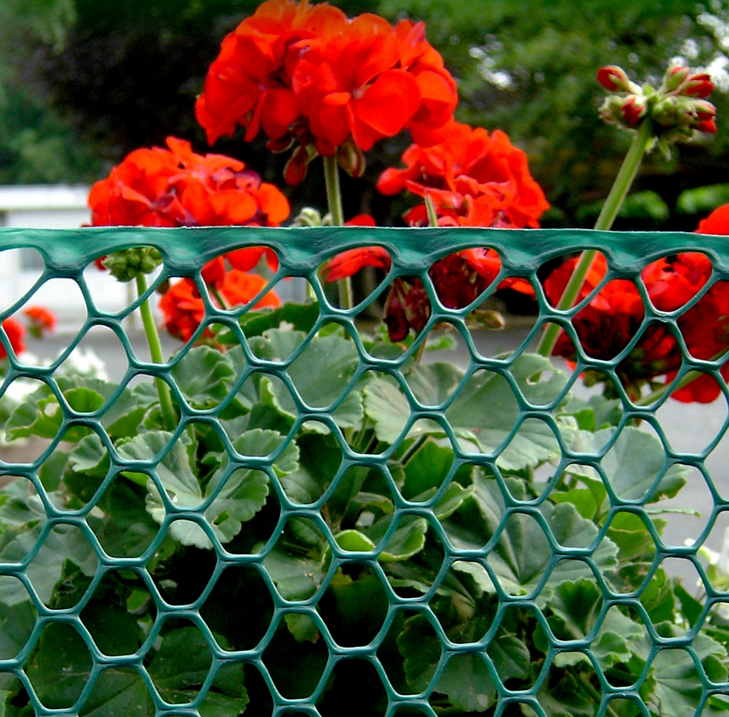 Nortene ESA védőrács 0,5x50m, zöld