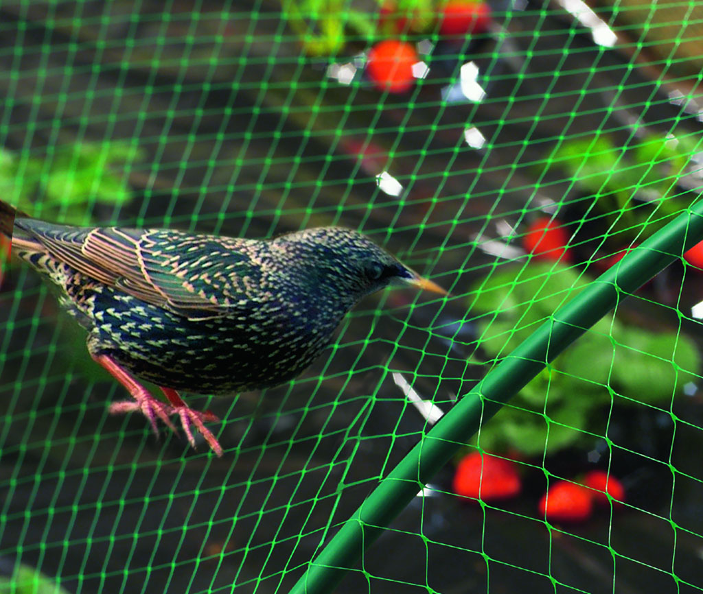 Nortene Birdnet  rombusz szemformájú ,extrudált műanyag háló, rombusz szemformájú, 4 x 100, Zöld