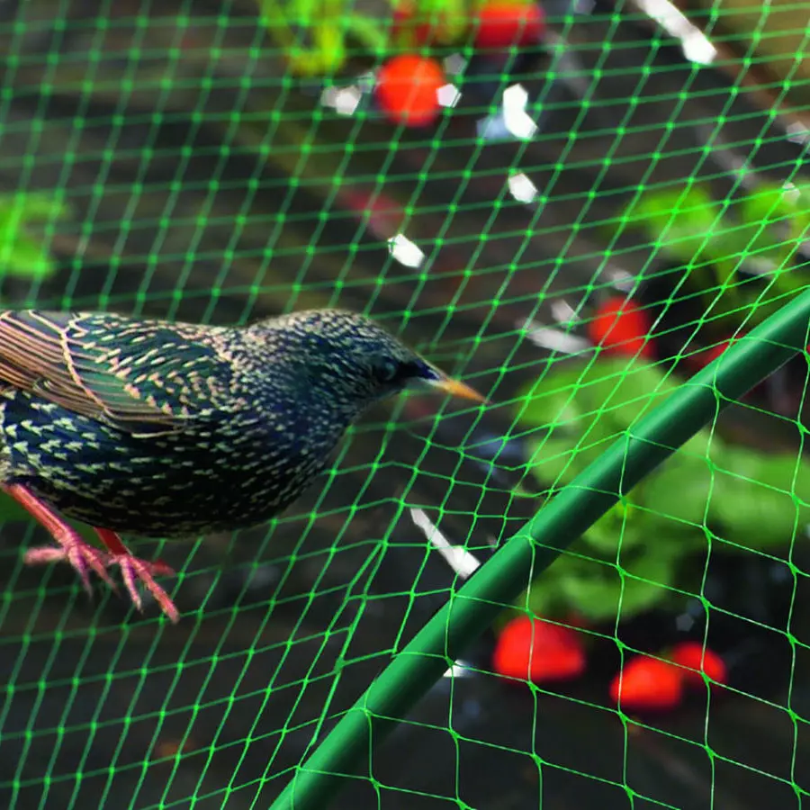 Nortene Birdnet  rombusz szemformájú ,extrudált műanyag madárháló, 2x5, Zöld