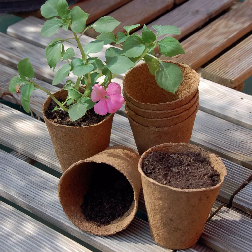 Nortene Growing Pots ültető edény, 24 db x ø 6 cm, Barna