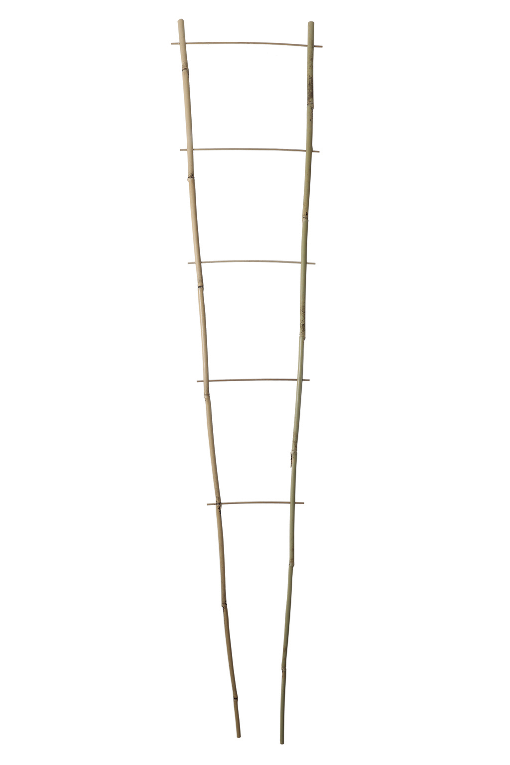 Nortene Echelle bamboo, bambusz növénylétra 150x40 cm
