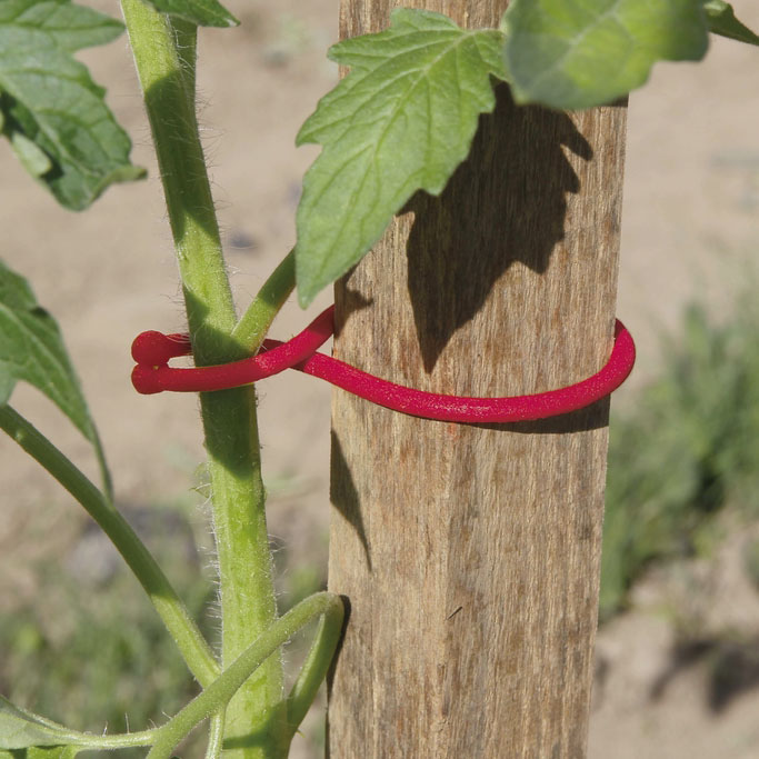 Nortene Tomatoclip paradicsom rögzítő növénykapocs ( 25 db )