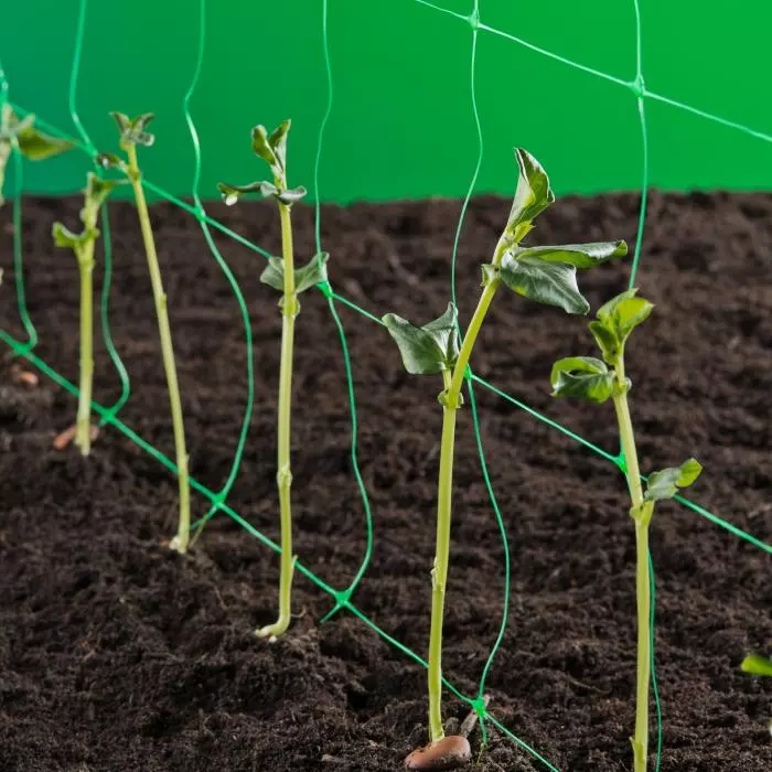 Nortene Trellinet növénytartó háló, uborkaháló, rácsméret 150x170 mm, 1,7 x 50, Zöld