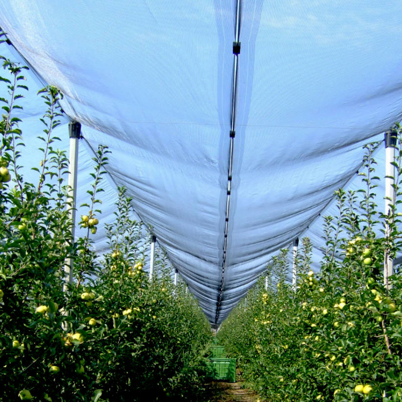 Nortene Hailnet hurkolt, jégkár elleni védőháló, 3 x 100, Zöld