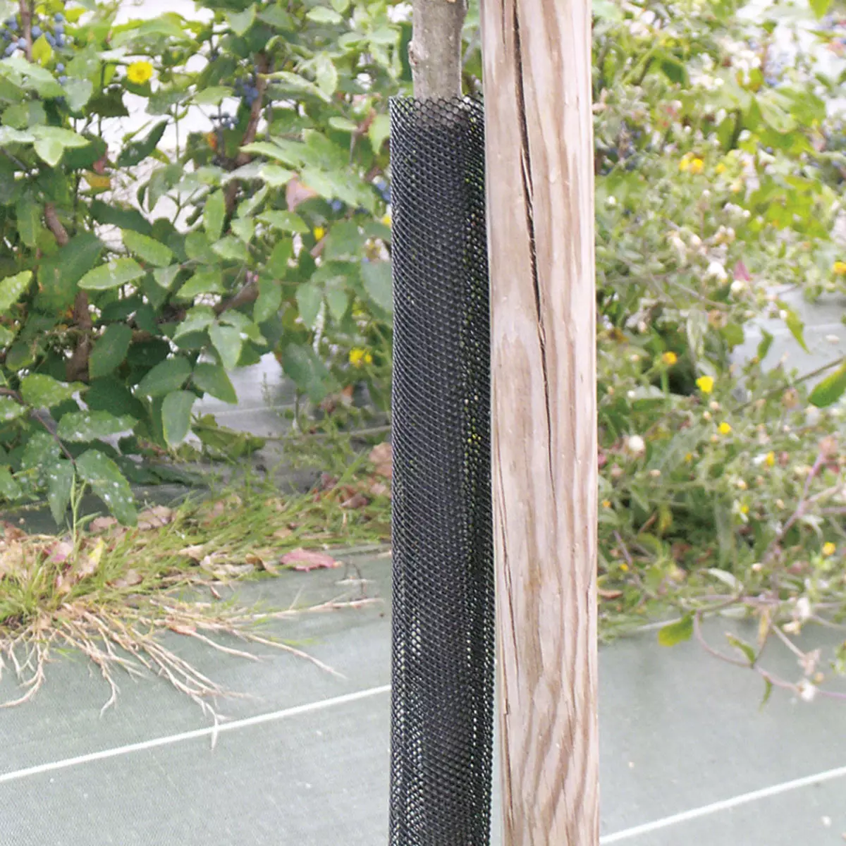 Nortene   Treex ( Flexguard ) Facsemete védőrács,  Ø6cm x 110 cm, 8 db