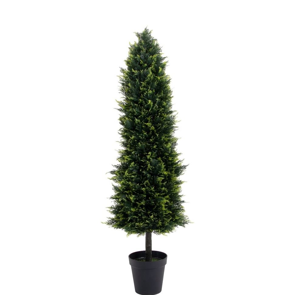 Élethű Smaragd Tuja 180 cm