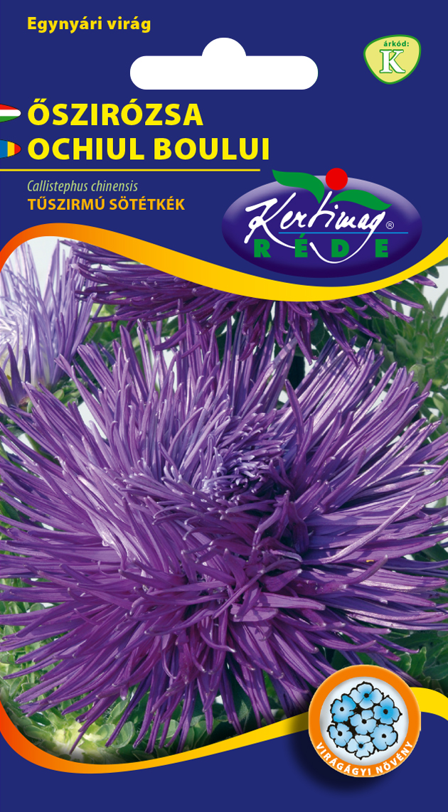 Rédei Kertimag Tűszirmú Lila Őszirózsa vetőmag 1g