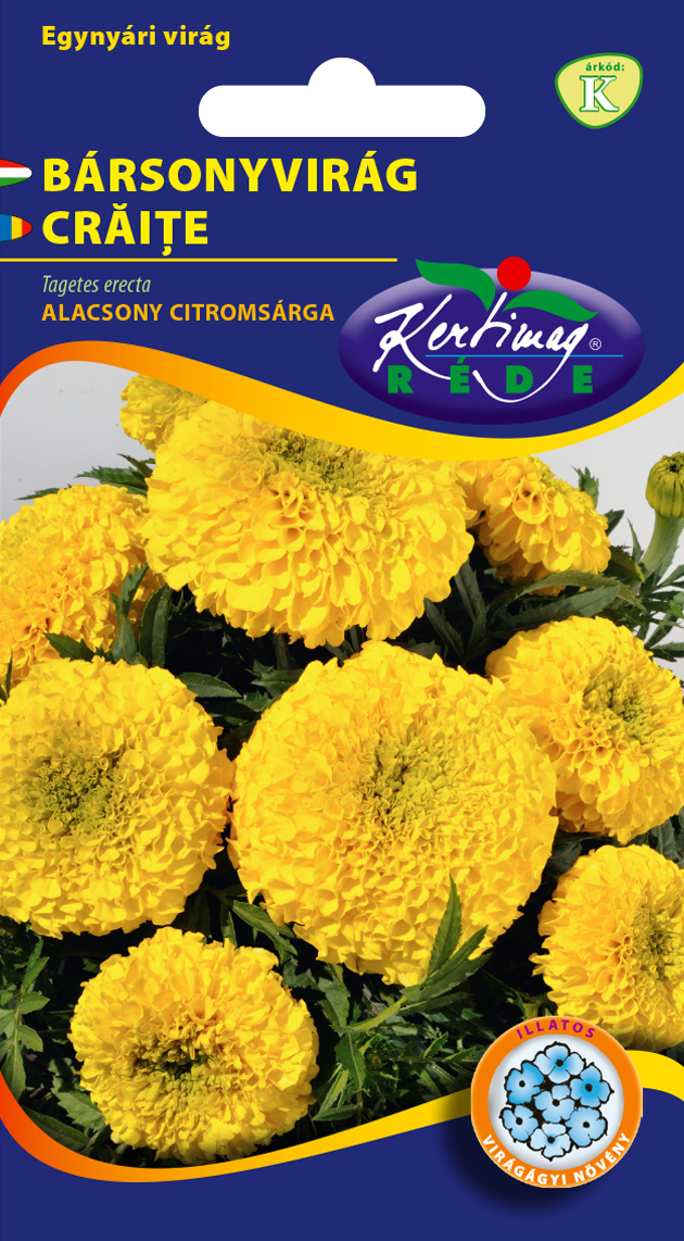 Rédei Kertimag Nagyvirágú Bársonyvirág vetőmag (alacsony, citromsárga) 1g