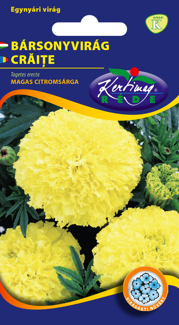 Rédei Kertimag Citromsárga Bársonyvirág vetőmag (nagyvirágú, magas) 1g