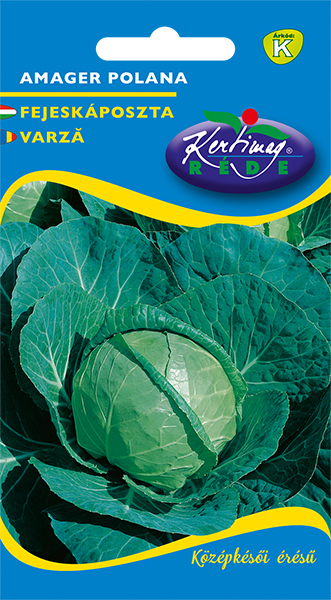 Rédei Kertimag fejeskáposzta vetőmag Amager Polan 2g