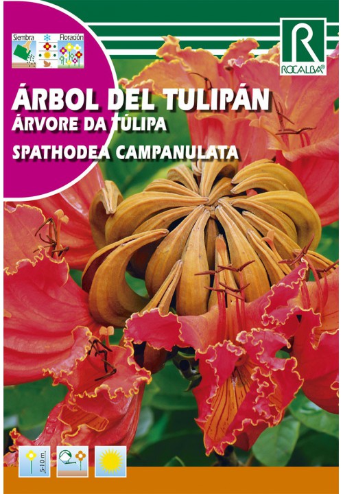 Rocalba Afrikai tulipánfa (Spathodea campanulata) 0,5 g