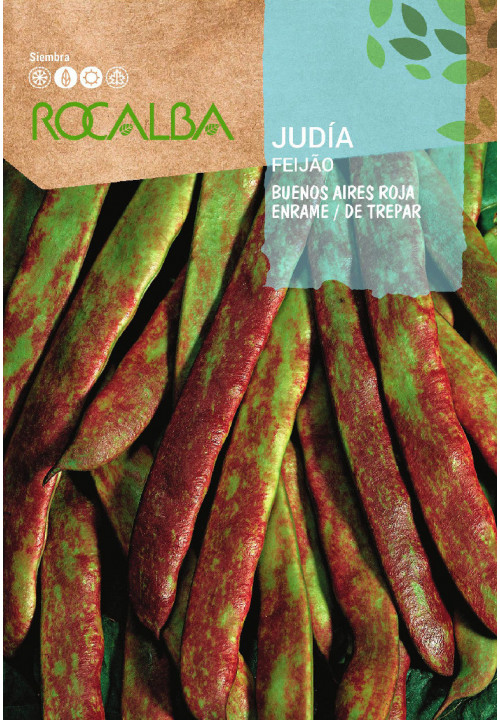 Rocalba Zöldhüvelyű bab Buenos Aires 50g