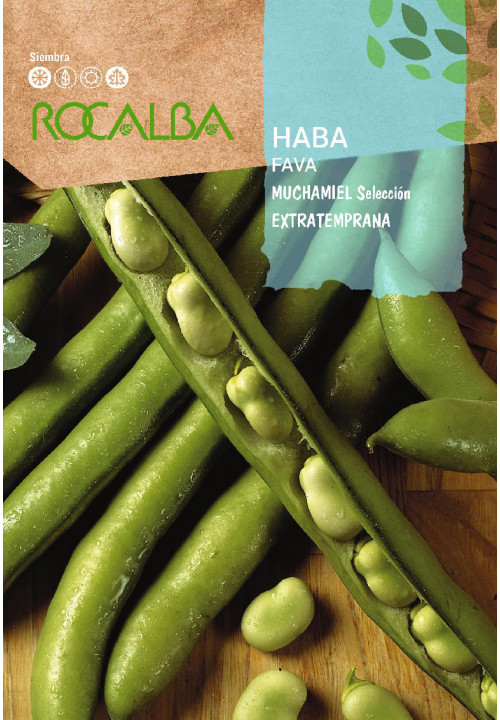 Rocalba lóbab Muchamiel szelekció vetőmag